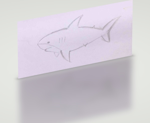 bitcoin tiburon crypto tiburon 